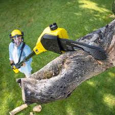 Best Lawn Mowing  in Sparks, GA